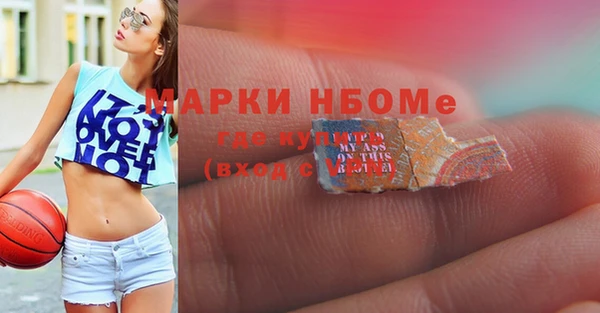 PSILOCYBIN Алзамай