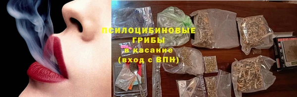 ПСИЛОЦИБИНОВЫЕ ГРИБЫ Алексеевка