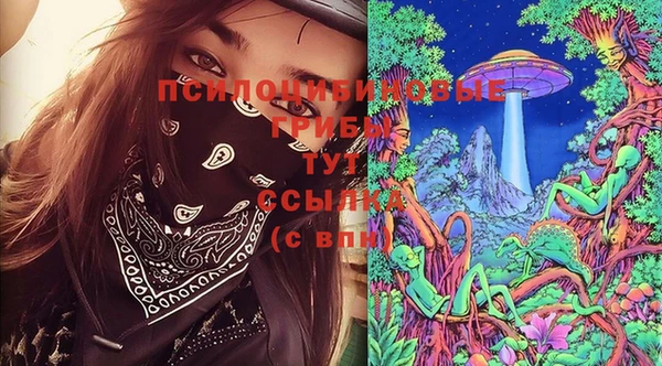 PSILOCYBIN Алзамай