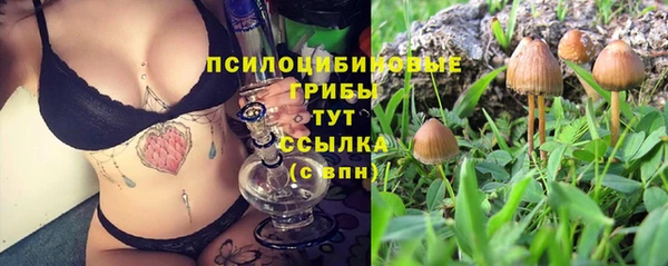 прущие крисы Алексин
