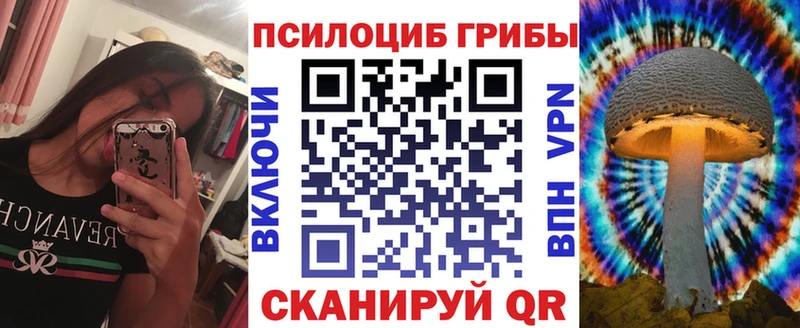 Псилоцибиновые грибы Psilocybine cubensis  KRAKEN   Нефтегорск  цена  